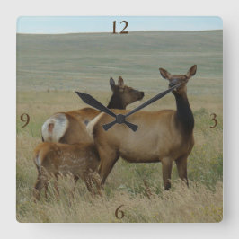 Reloj Cuadrado E61 Cow Elk and Calf