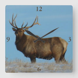 Reloj Cuadrado E62 Bull Elk Sky Lined