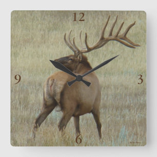 Reloj Cuadrado E6 Bull Elk in Velvet