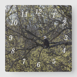 Reloj Cuadrado Eagle Lookout Painterly Wall Clock