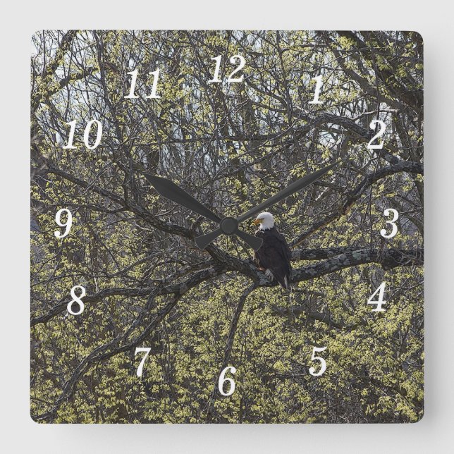 Reloj Cuadrado Eagle Lookout Painterly Wall Clock (Anverso)