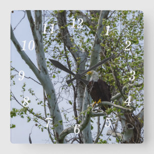 Reloj Cuadrado Eagle Watch Wall Clock