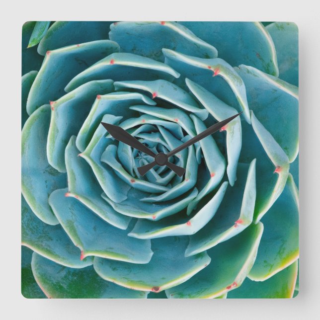Reloj Cuadrado Echeveria Rosette, Secret Garden of Marrakech (Anverso)