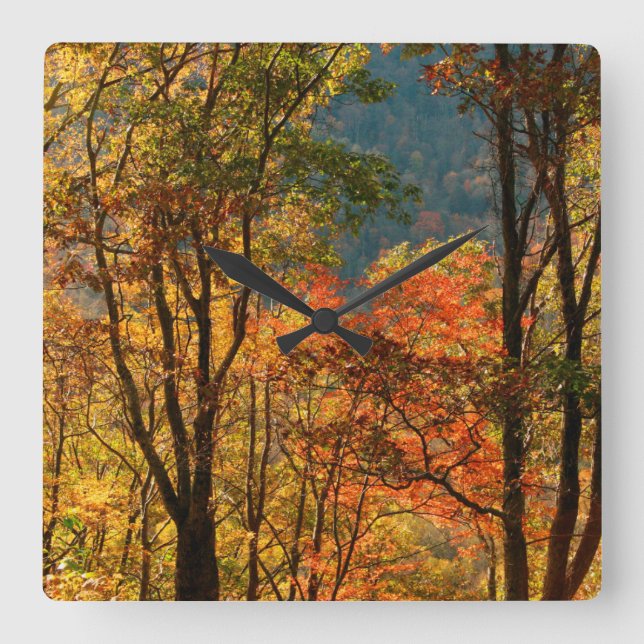 Reloj Cuadrado EE. UU., Tennessee. Follaje de otoño (Anverso)