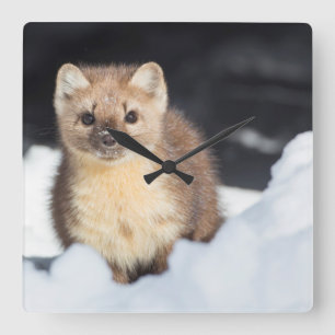 Reloj Cuadrado EE. UU., Wyoming, Parque Nacional Yellowstone