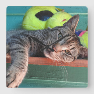 Reloj Cuadrado El amor al gato