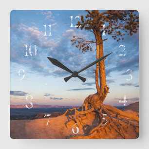 Reloj Cuadrado El árbol se aferra en la repisa, parque nacional