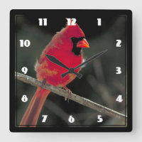 El cardenal rojo encaramado en una rama de árbol
