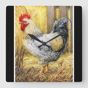 Reloj Cuadrado El gallo de los graneros