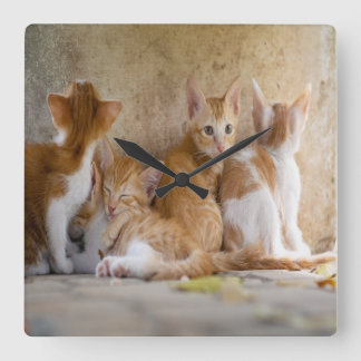 Reloj Cuadrado El gatito anaranjado y blanco del Tabby/añade la