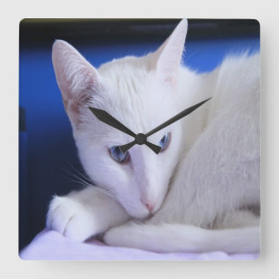 Reloj Cuadrado El gato blanco hermoso/añade la foto de su mascot