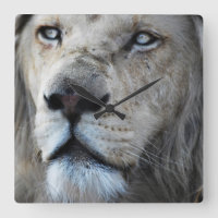 El león escucha mi latido del corazón África