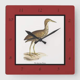 Reloj Cuadrado El pájaro Bittern estadounidense (Botaurus lentigi