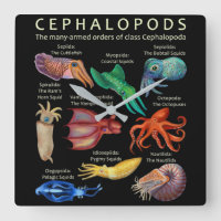 El pulpo cefalópodo calamitoso