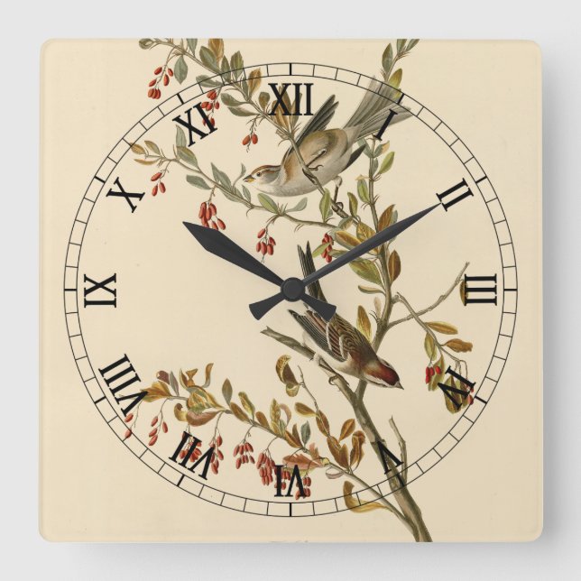 Reloj Cuadrado El resplandor de árboles norteamericanos, los pája (Anverso)