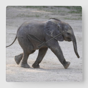 Reloj Cuadrado Elefante bebé dulce Kibali