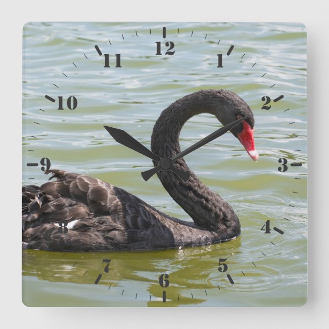 Reloj Cuadrado Elegancia del cisne negro (Anverso)