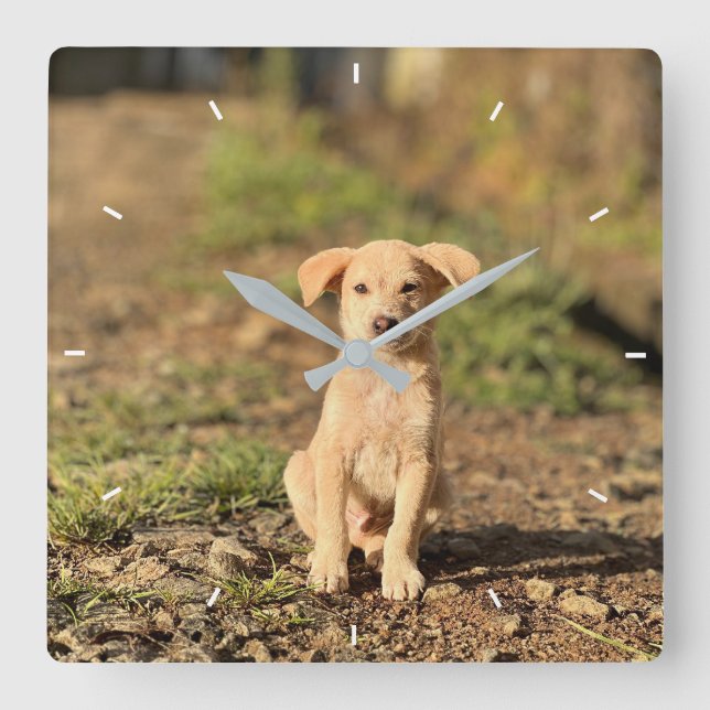 Reloj Cuadrado Elegant Modern Custom Wall Clock Add Your Own  (Anverso)