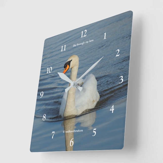Reloj Cuadrado Elegante cisne mudo ave acuática en el lago (Ángulo)