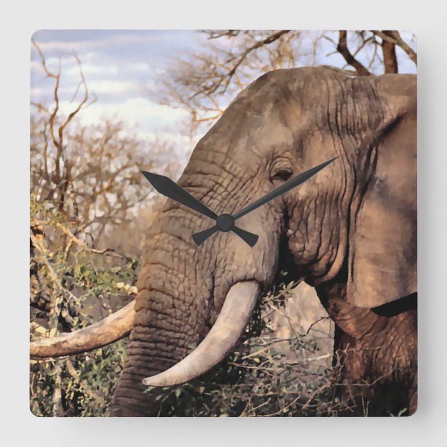 Reloj Cuadrado Elephant Lovers Art (Anverso)