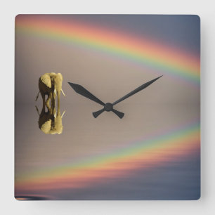 Reloj Cuadrado Elephant, Water & Rainbow, Kenya
