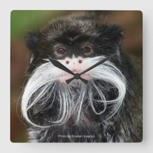 Reloj Cuadrado Emperor Tamarin