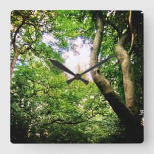 Reloj Cuadrado En el bosque