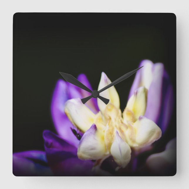Reloj Cuadrado Enamorado de Lupine (Anverso)