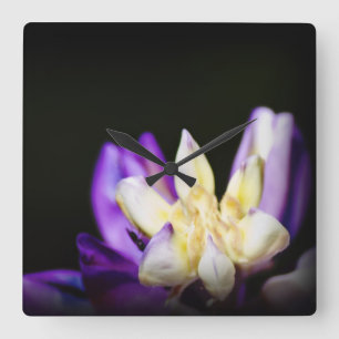 Reloj Cuadrado Enamorado de Lupine