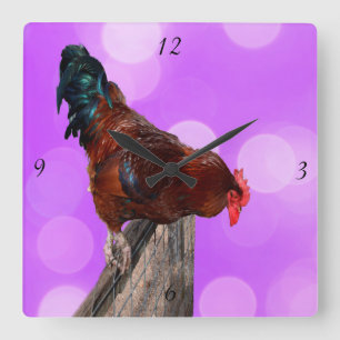 Reloj Cuadrado Encaramado en Su Majestad: Rooster On Dreamy Purpl