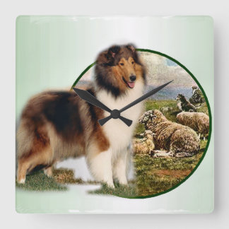 Reloj Cuadrado Encargado áspero del collie de las ovejas