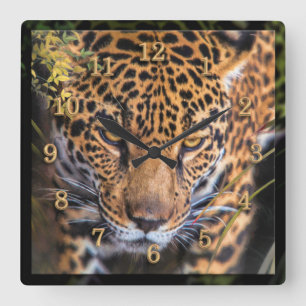 RELOJ CUADRADO ENCUENTRO DE JUNGLE LEOPARD