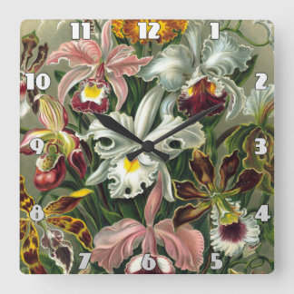 Reloj Cuadrado Ernst Haeckel Art Print:Orchidae Oncidiums, tulipa