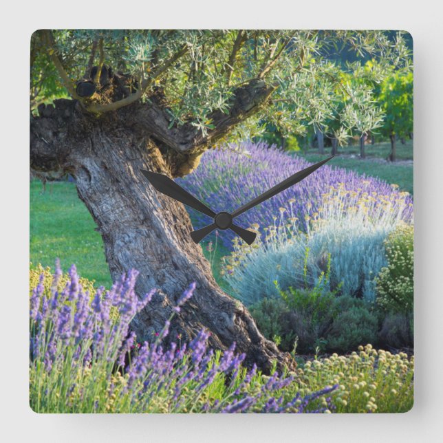 Reloj Cuadrado Escenario de jardín con flores, Francia (Anverso)