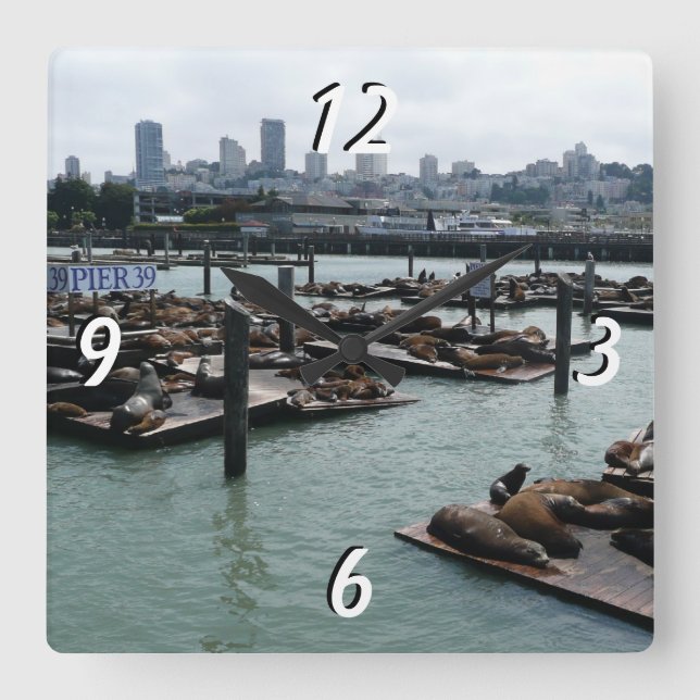 Reloj Cuadrado Esquina de San Francisco y Pier 39 Sea Lions City (Anverso)