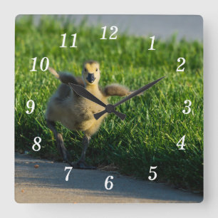 Reloj Cuadrado Estoy llegando a papá Wall Clock