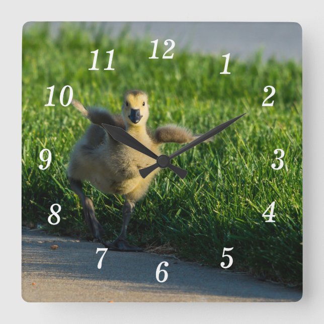Reloj Cuadrado Estoy llegando a papá Wall Clock (Anverso)