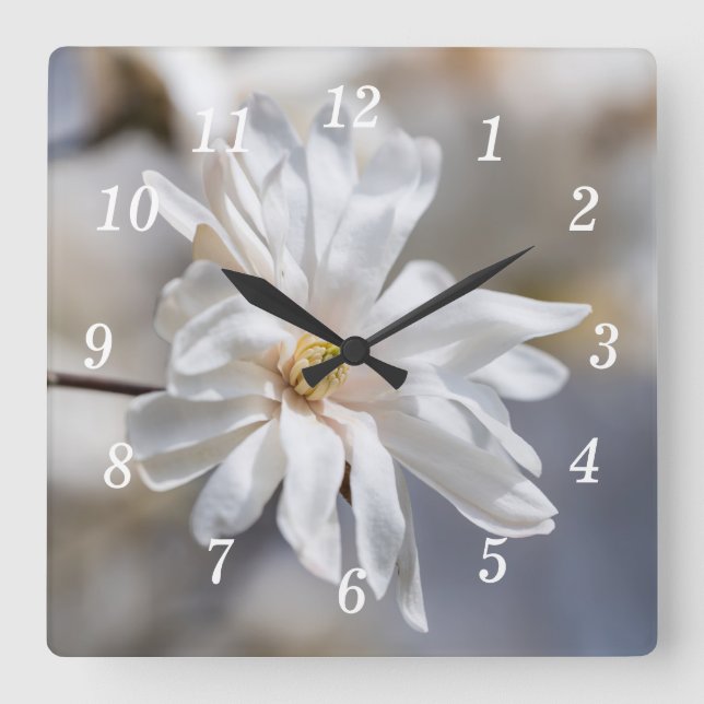 Reloj Cuadrado Estrella Magnolia Bloom Wall Clock (Anverso)