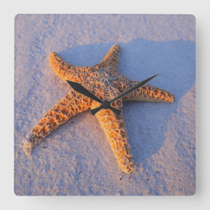 Reloj Cuadrado Estrellas de mar en la arena blanca