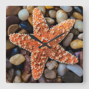Reloj Cuadrado Estrellas de mar en rocas