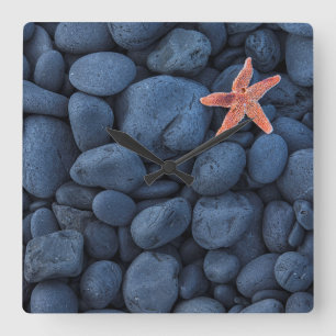 Reloj Cuadrado Estrellas de mar en rocas negras a lo largo de la