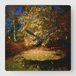 Reloj Cuadrado Explosión de otoño en el paseo Stourhead.