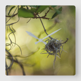 Reloj Cuadrado Extraña planta