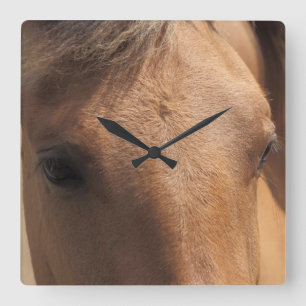Reloj Cuadrado Eyes of a Brown Horse Square Wall Clock