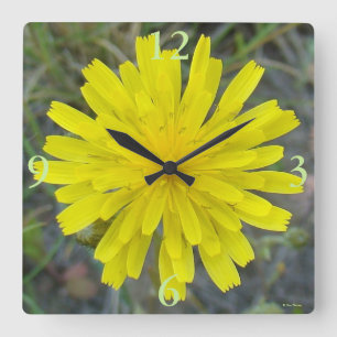 Reloj Cuadrado F16 Amarillo Flor silvestre Rey diablo