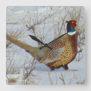 Reloj Cuadrado Faisán de collar B22 en la nieve