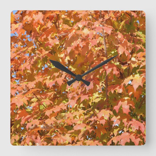 Reloj Cuadrado Fall Leaves On A Tree Scenery (Anverso)