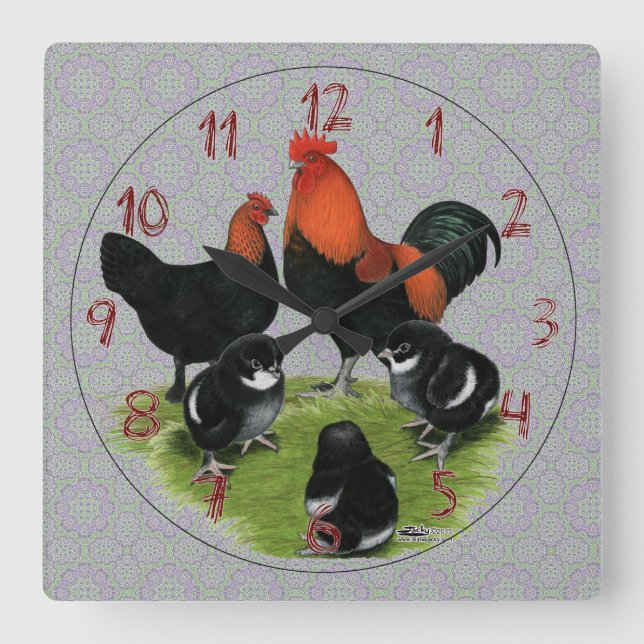 Reloj Cuadrado Familia de cobre negra del pollo de Marans (Anverso)