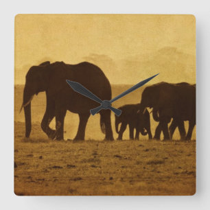 Reloj Cuadrado Familia del elefante