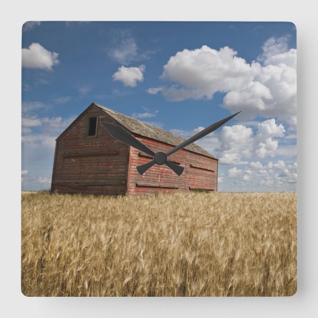 Reloj Cuadrado Farms | Old Red Barn in Wheat Field (Anverso)